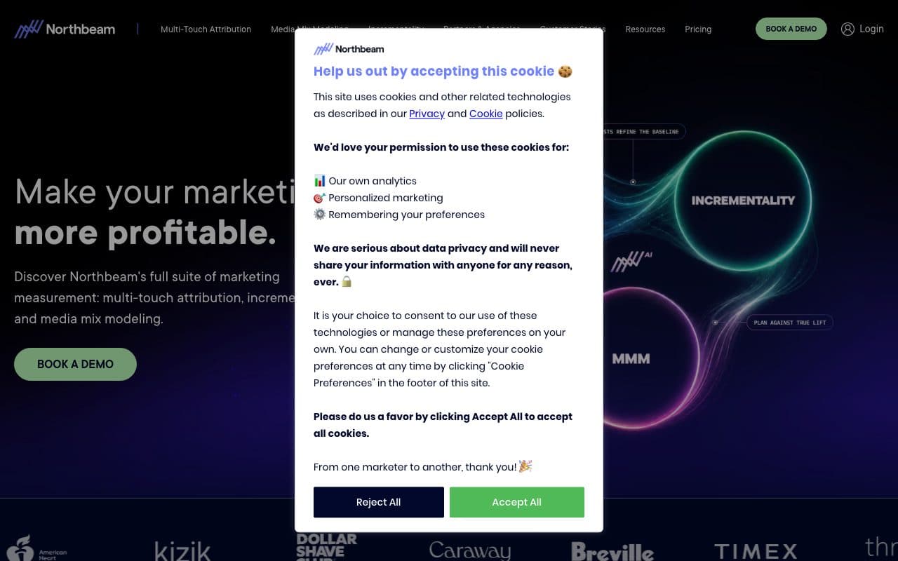 Northbeam homepage, above the fold